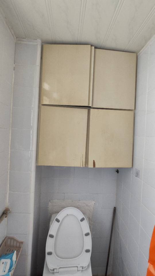 上海 崇明 | 向阳路_3