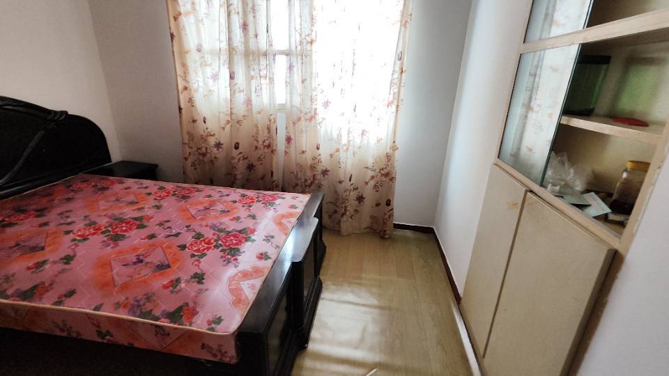 上海 崇明 | 向阳路_4