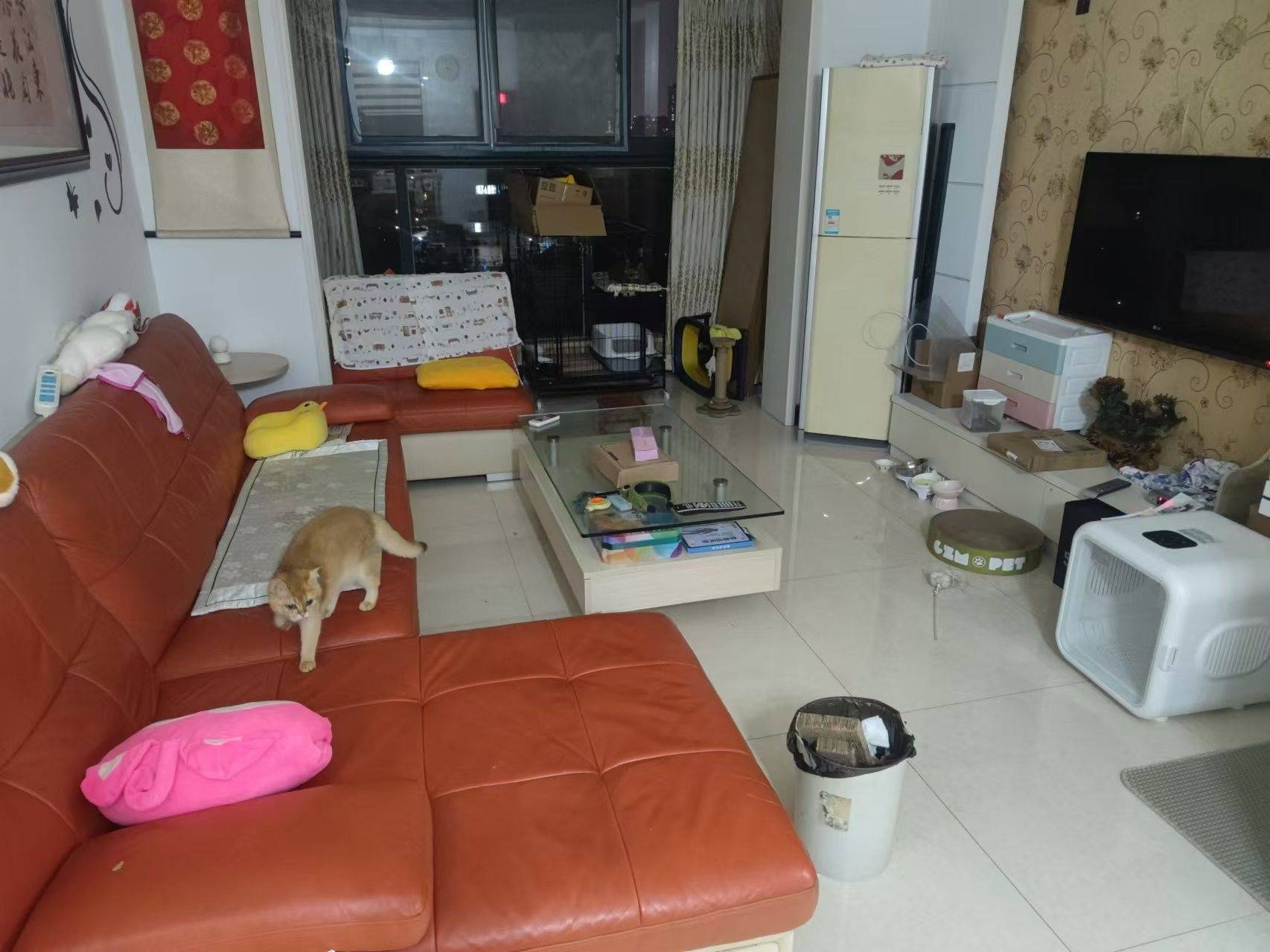 Ningbo-Yinzhou-Cozy Home,Clean&Comfy,No Gender Limit