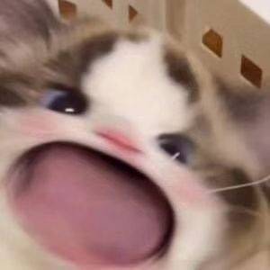 唯一不变