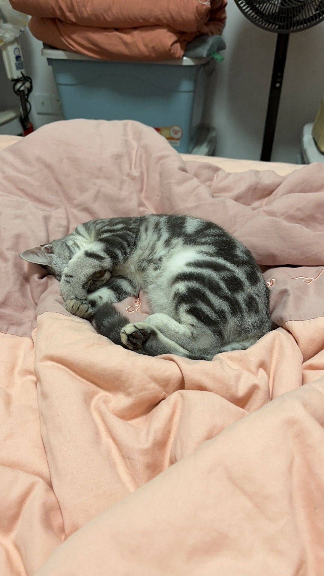 蔚蓝