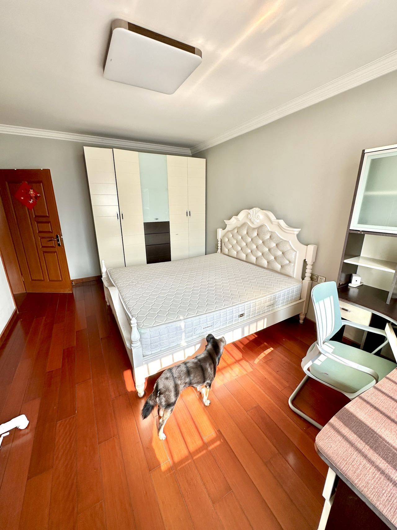 Shanghai-Xuhui-Cozy Home,Clean&Comfy