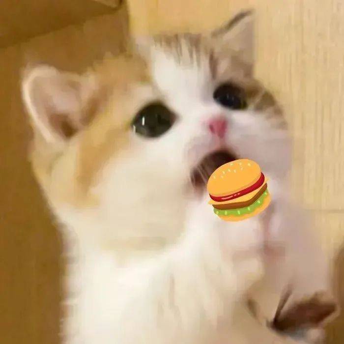 凤梨