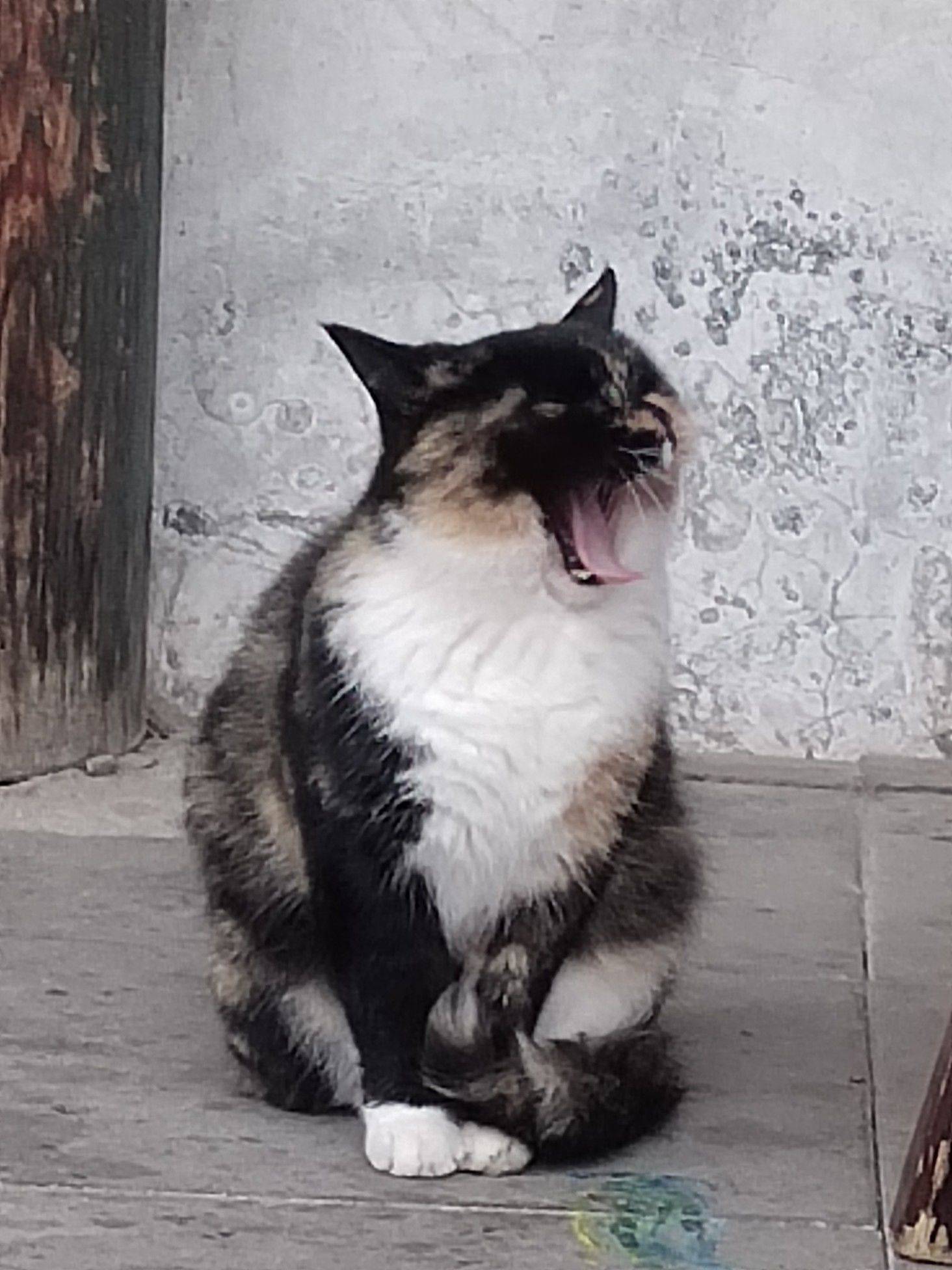 通州北关房东直租