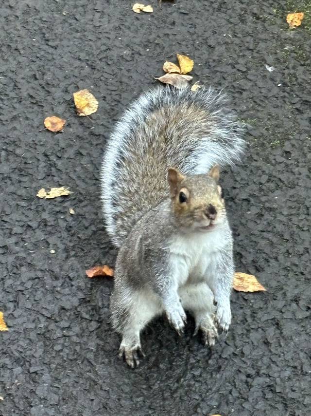 哈哈哈哈哈哈哈