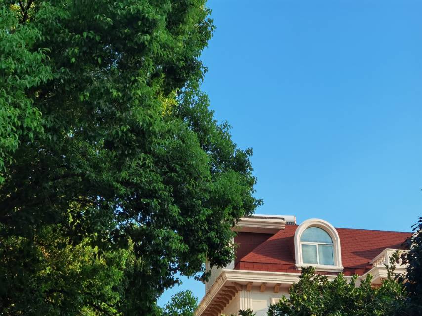 Shanghai-Songjiang-Cozy Home,No Gender Limit,Hustle & Bustle