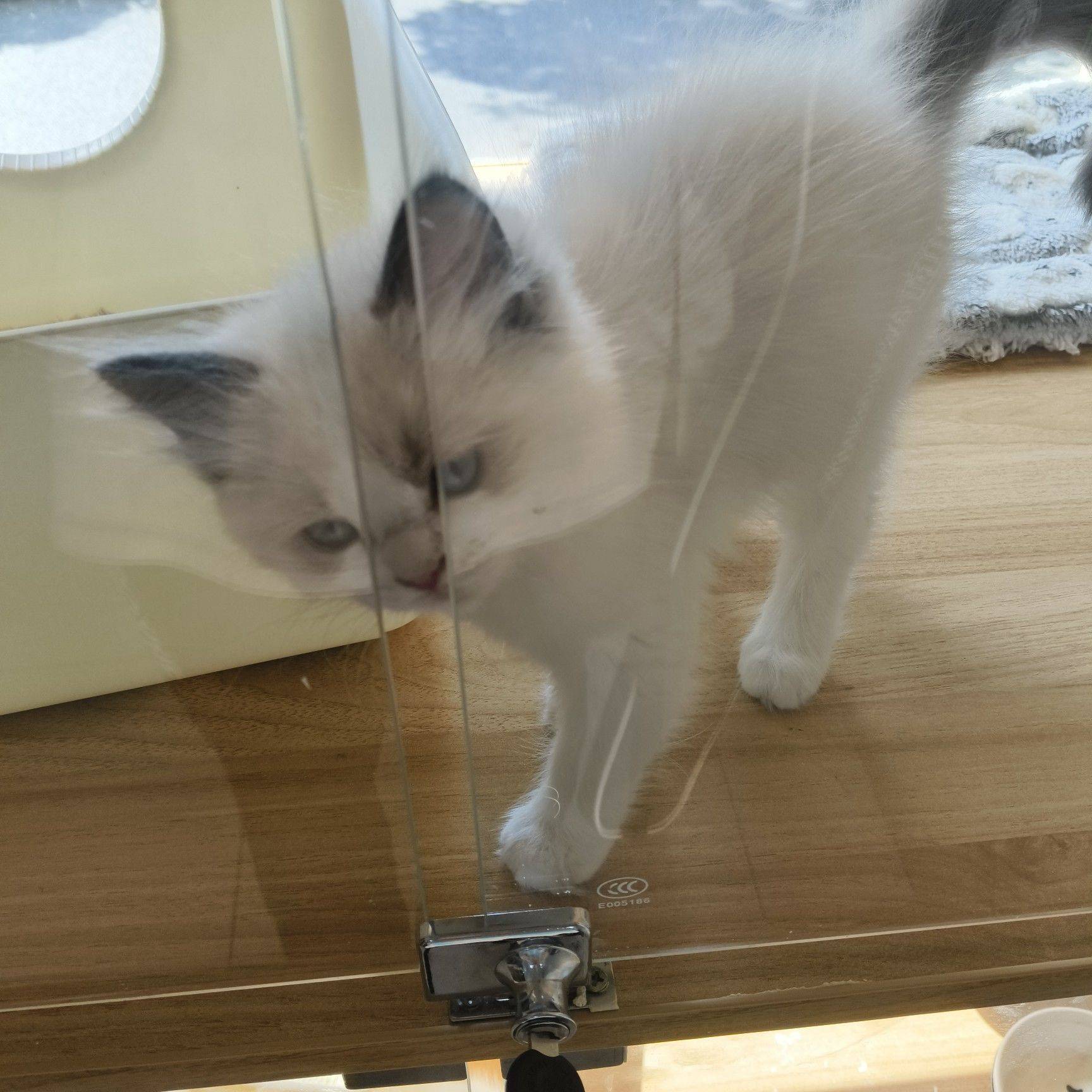 tiny