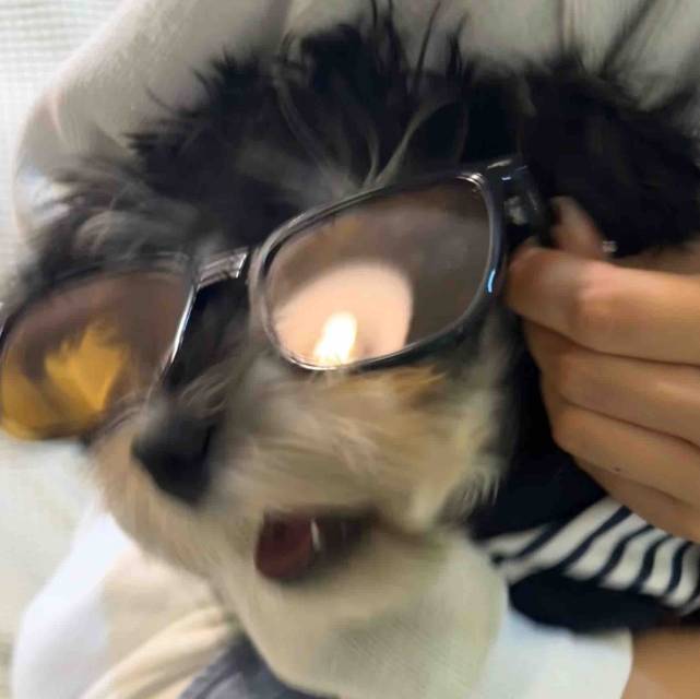 X-XXXX
