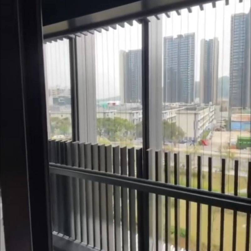 Shenzhen-Longhua-Clean&Comfy,No Gender Limit,Pet Friendly