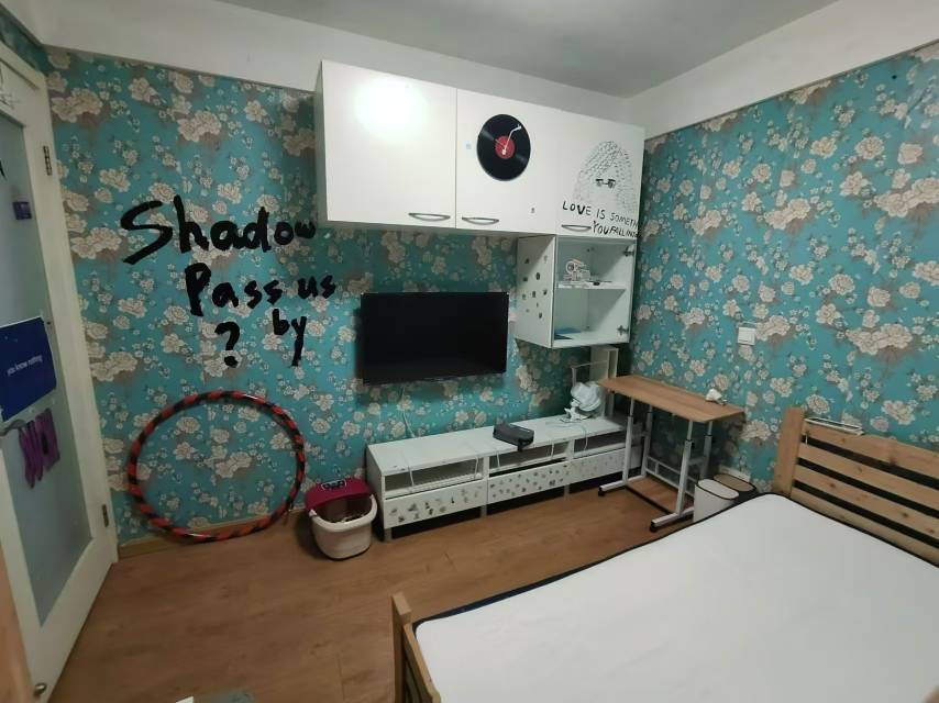 Shanghai-Changning-Cozy Home,Clean&Comfy,No Gender Limit,Hustle & Bustle,Chilled,Pet Friendly