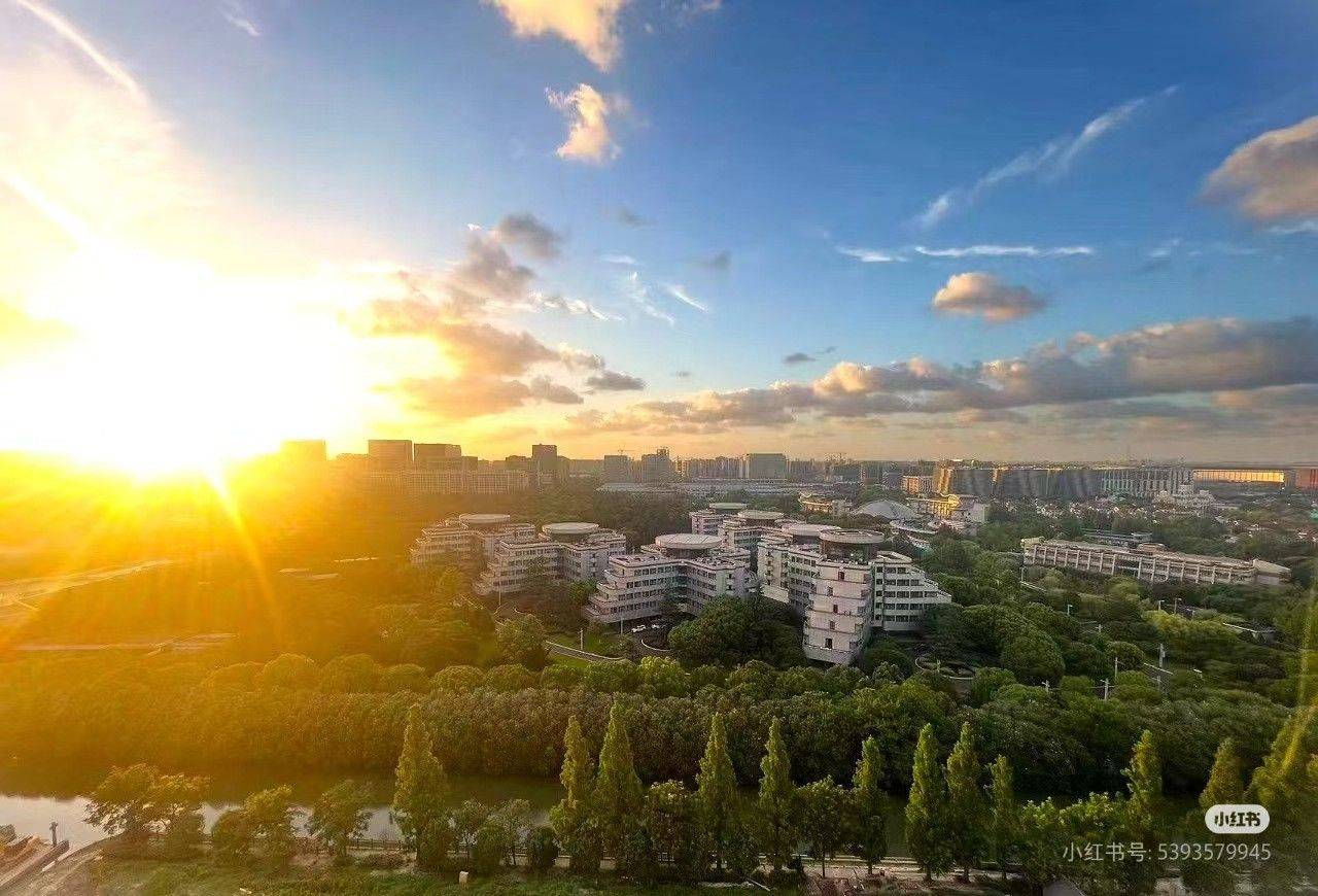 上海-青浦-温馨小窝,干净治愈