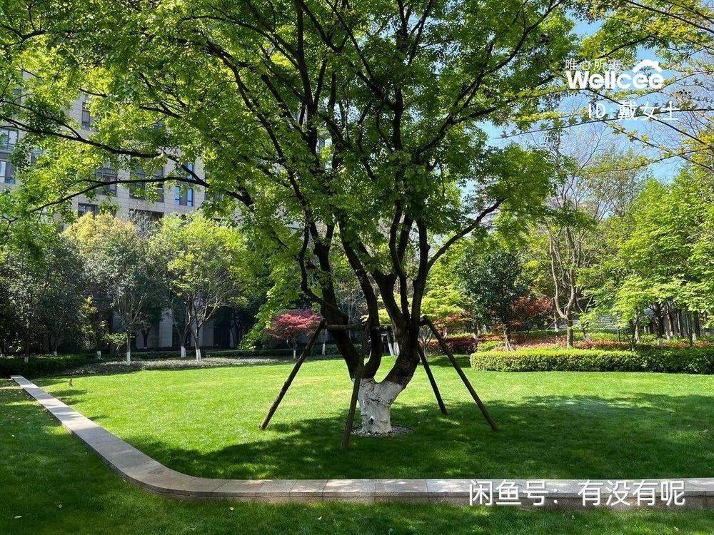 杭州-上城-溫馨小窩