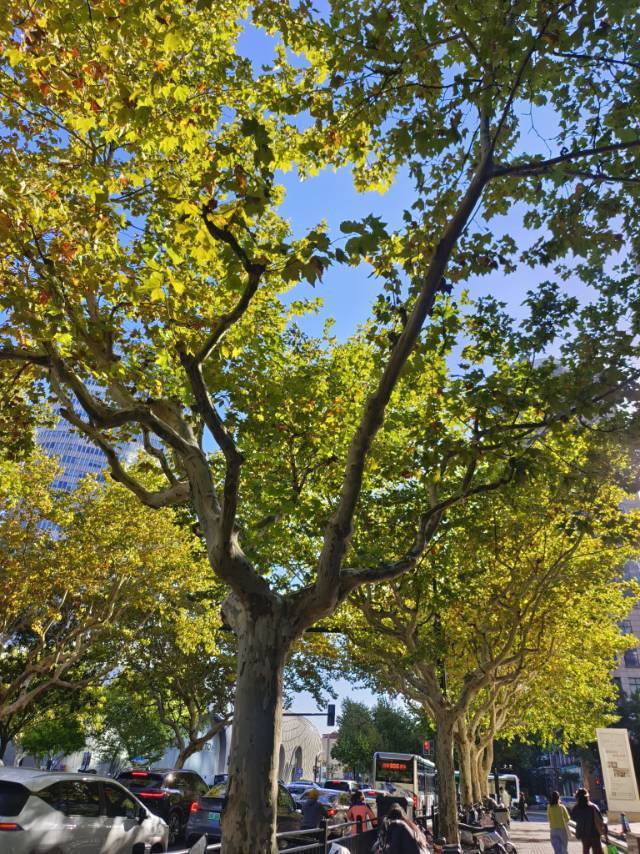 流芳百世的代号