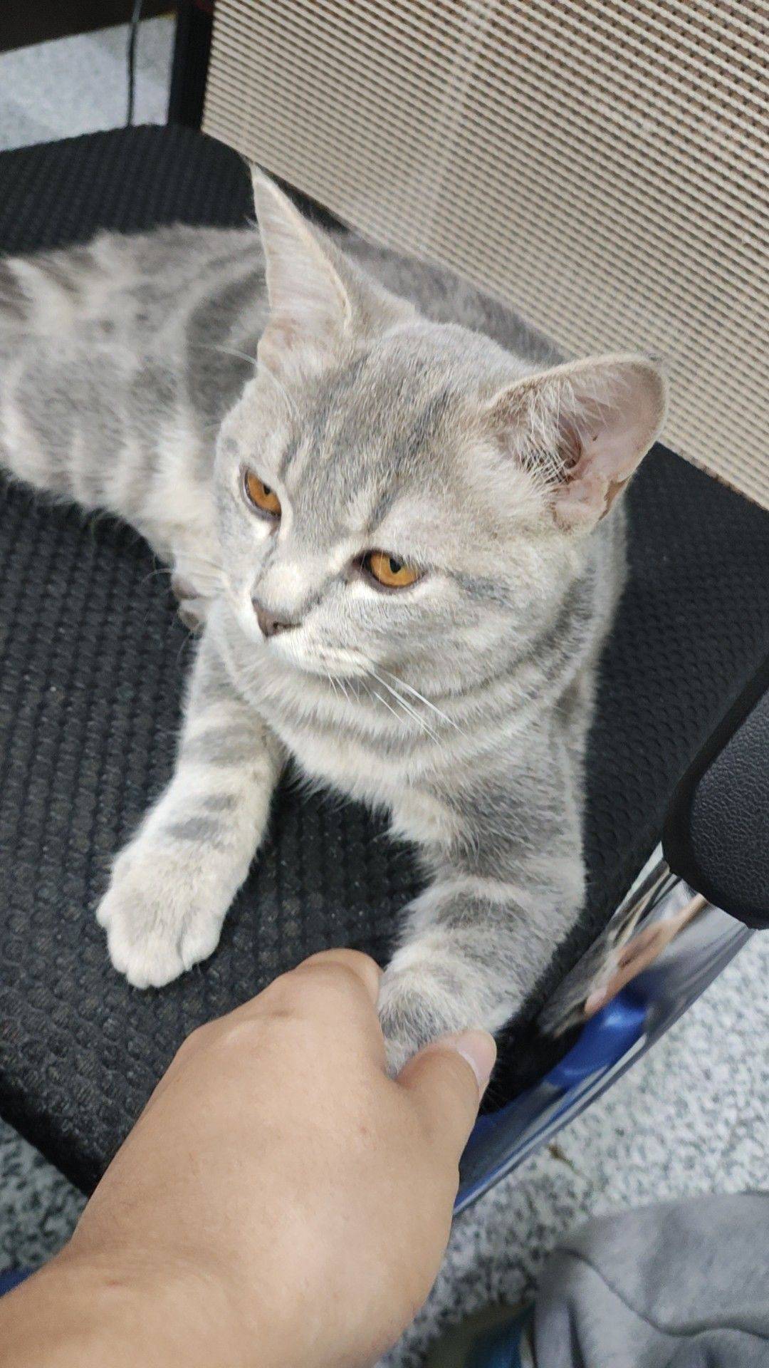 梁先生