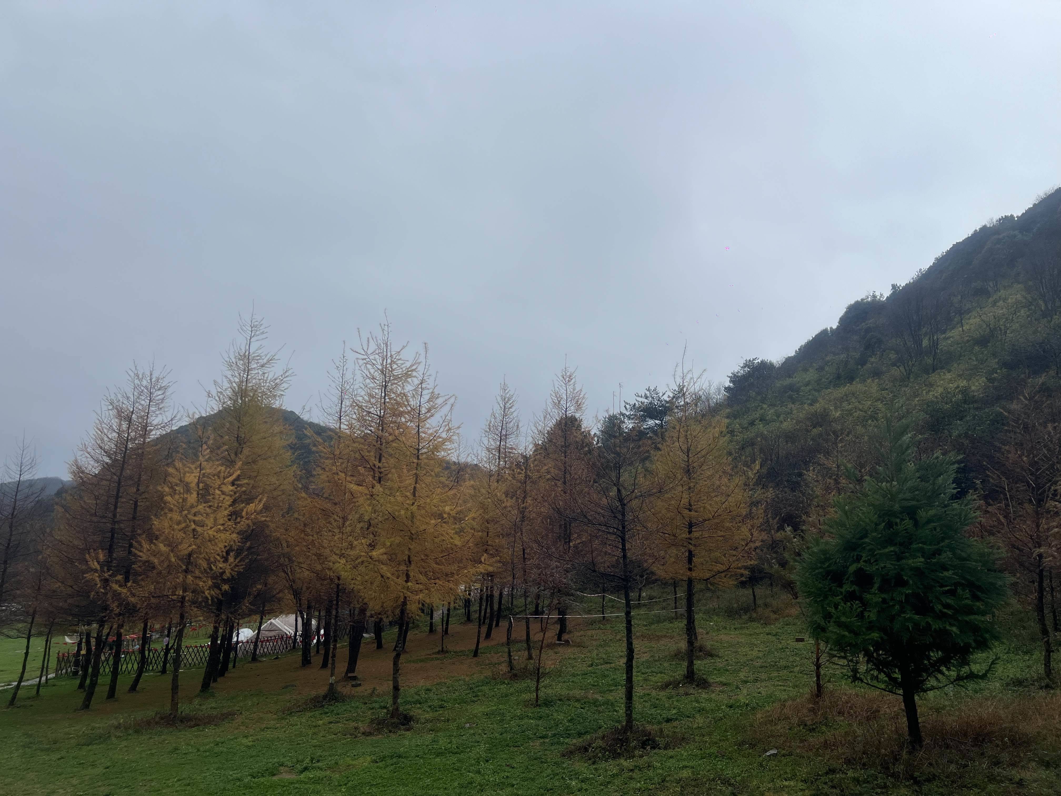 房东直租无中介费