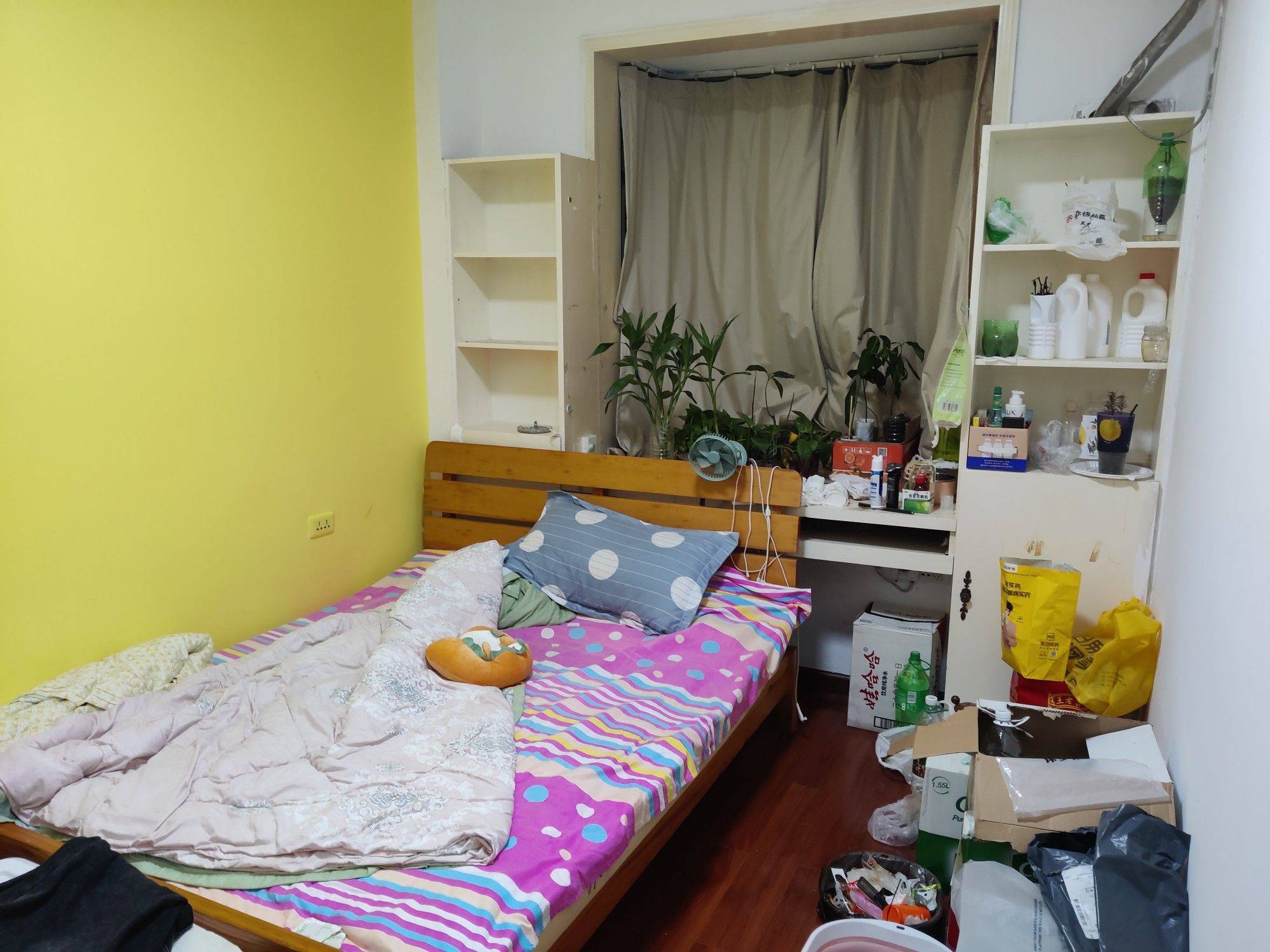 Wuhan-Hongshan-个人转租,Cozy Home,Clean&Comfy,No Gender Limit