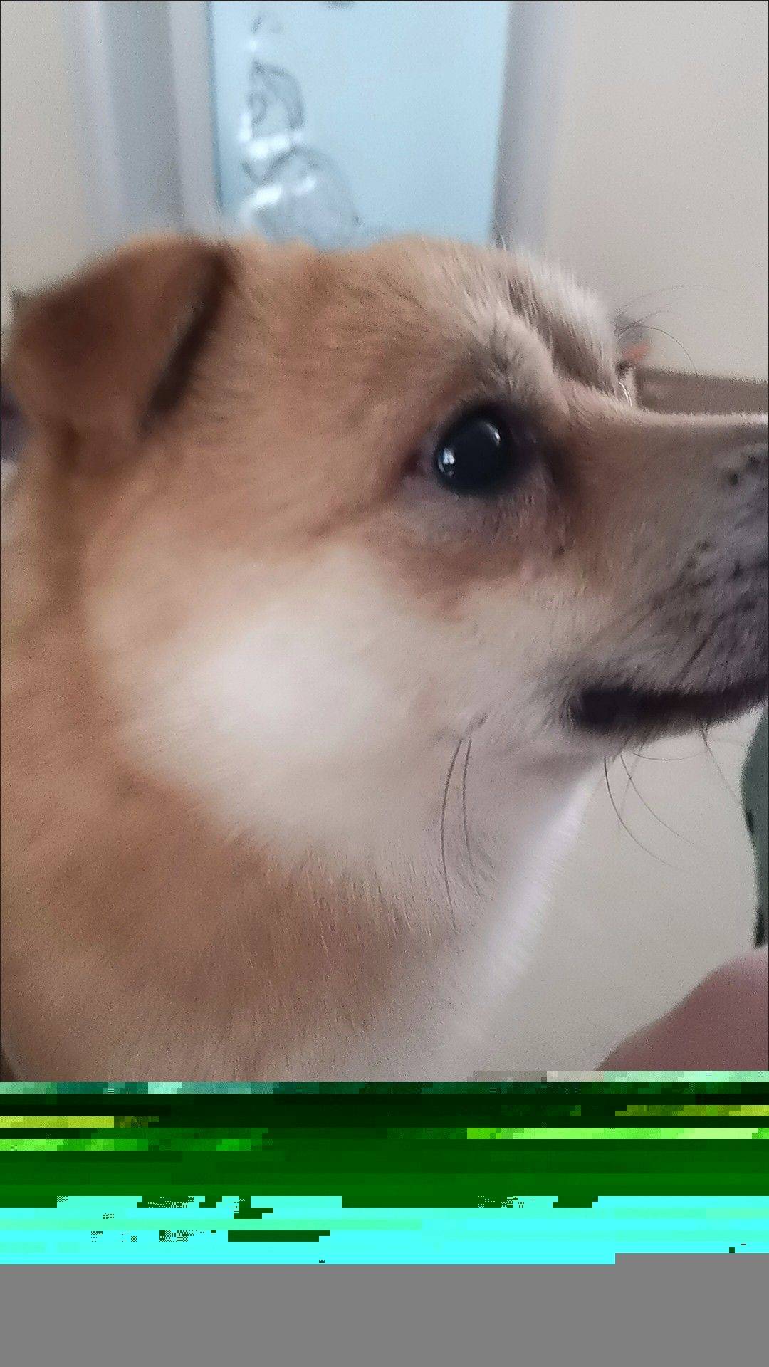 讨厌自私