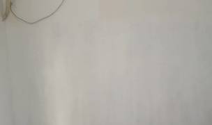 上海-浦东-温馨小窝,干净治愈,不限性别,市井烟火气,老友记,慢时光,LGBTQ友好,宠物友好