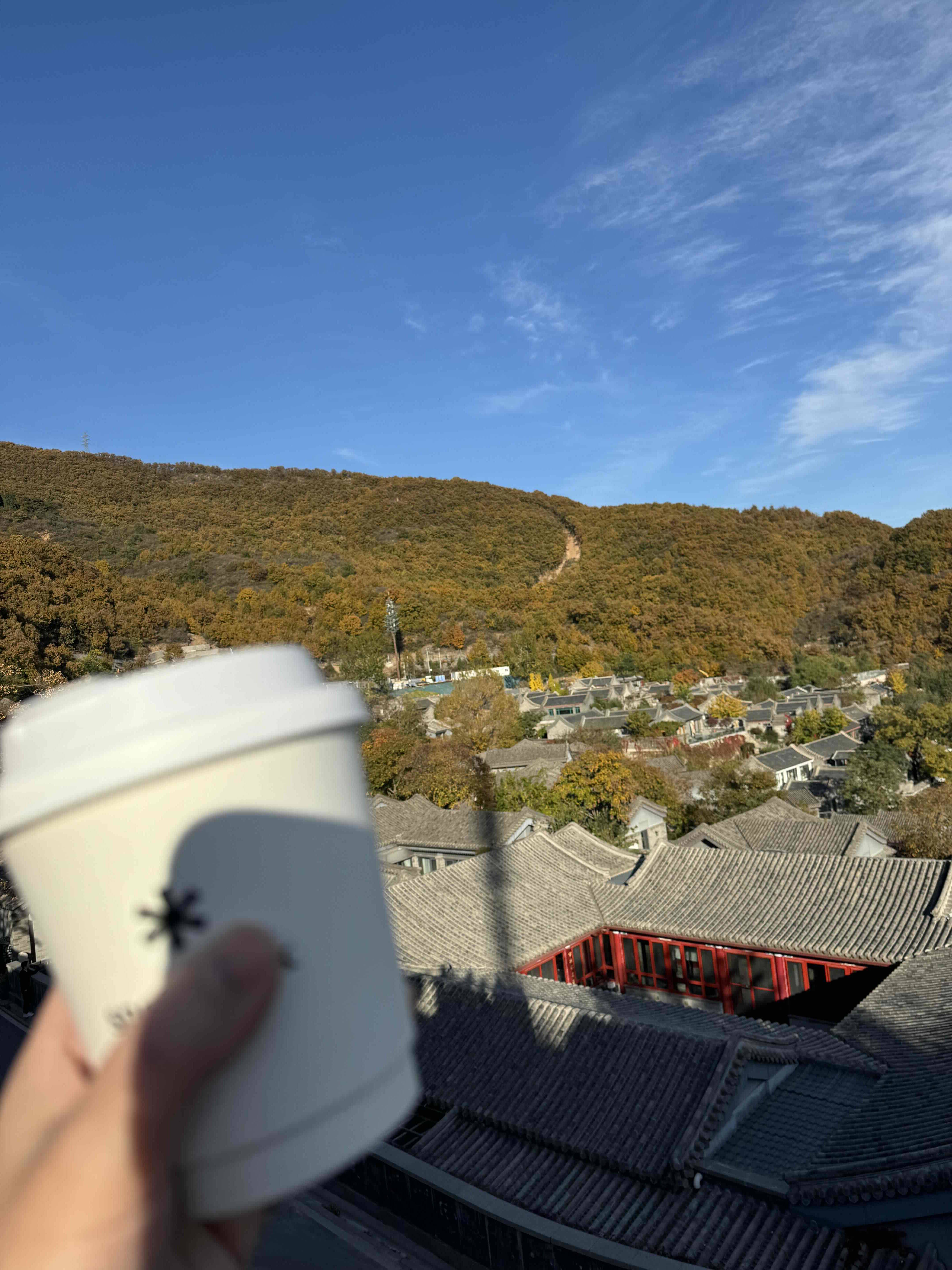 案板街熟悉的厚扑