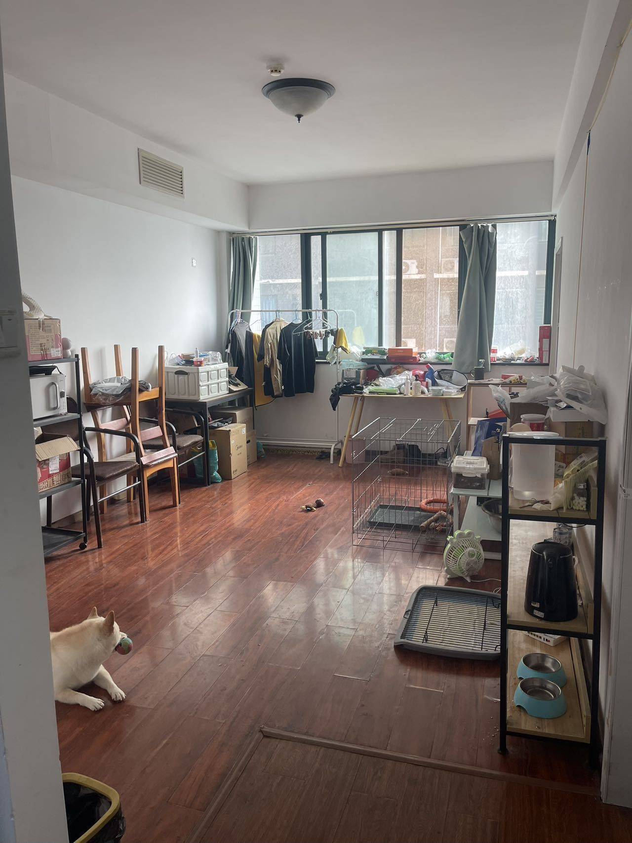 Zhengzhou-Guancheng-Cozy Home,Clean&Comfy