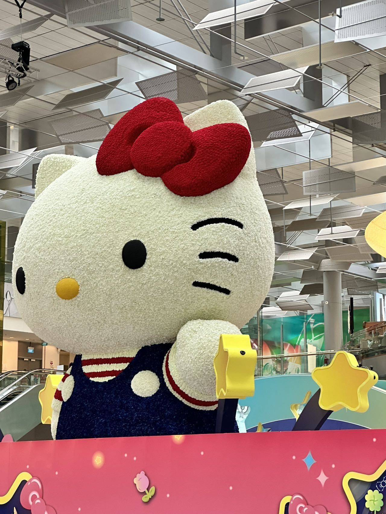 鱼妮美