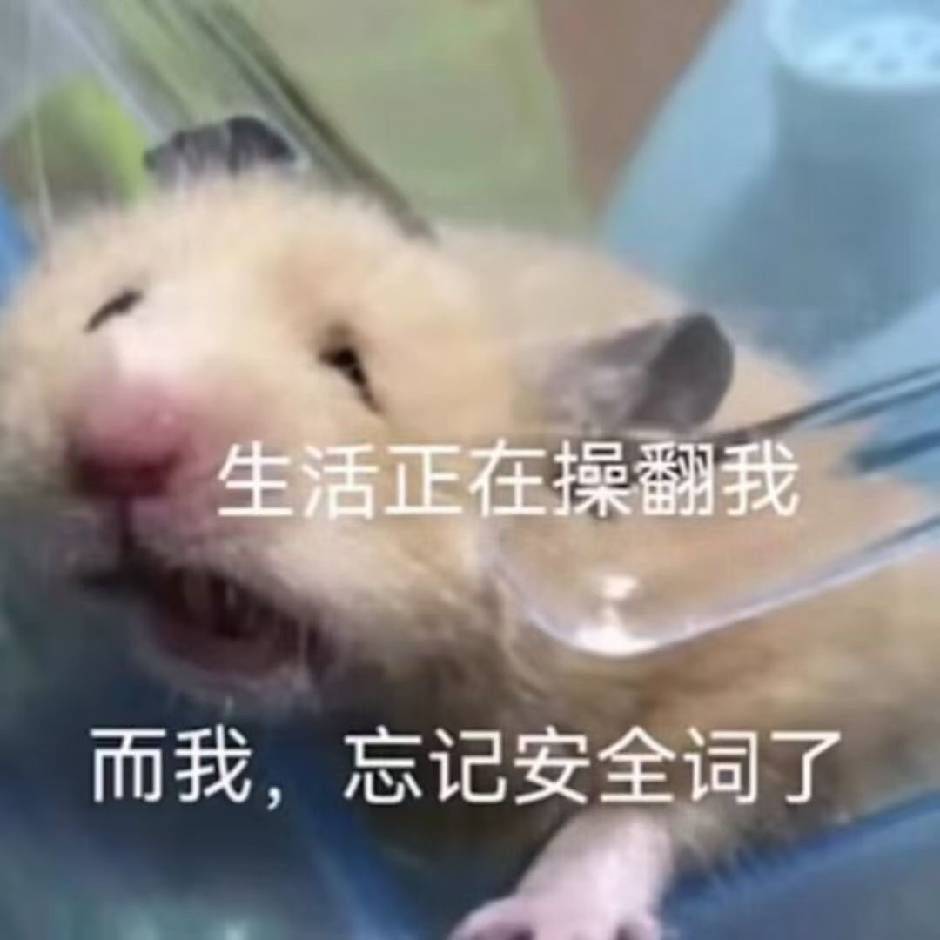 没人合租我快穷死了