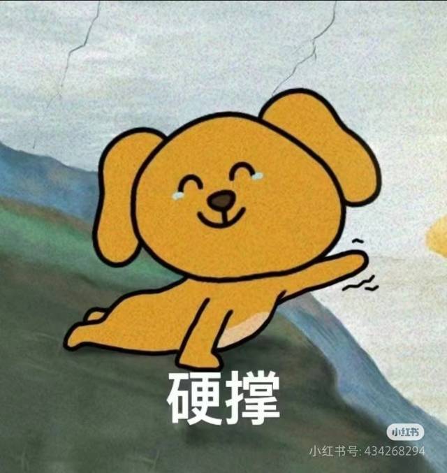沁沁