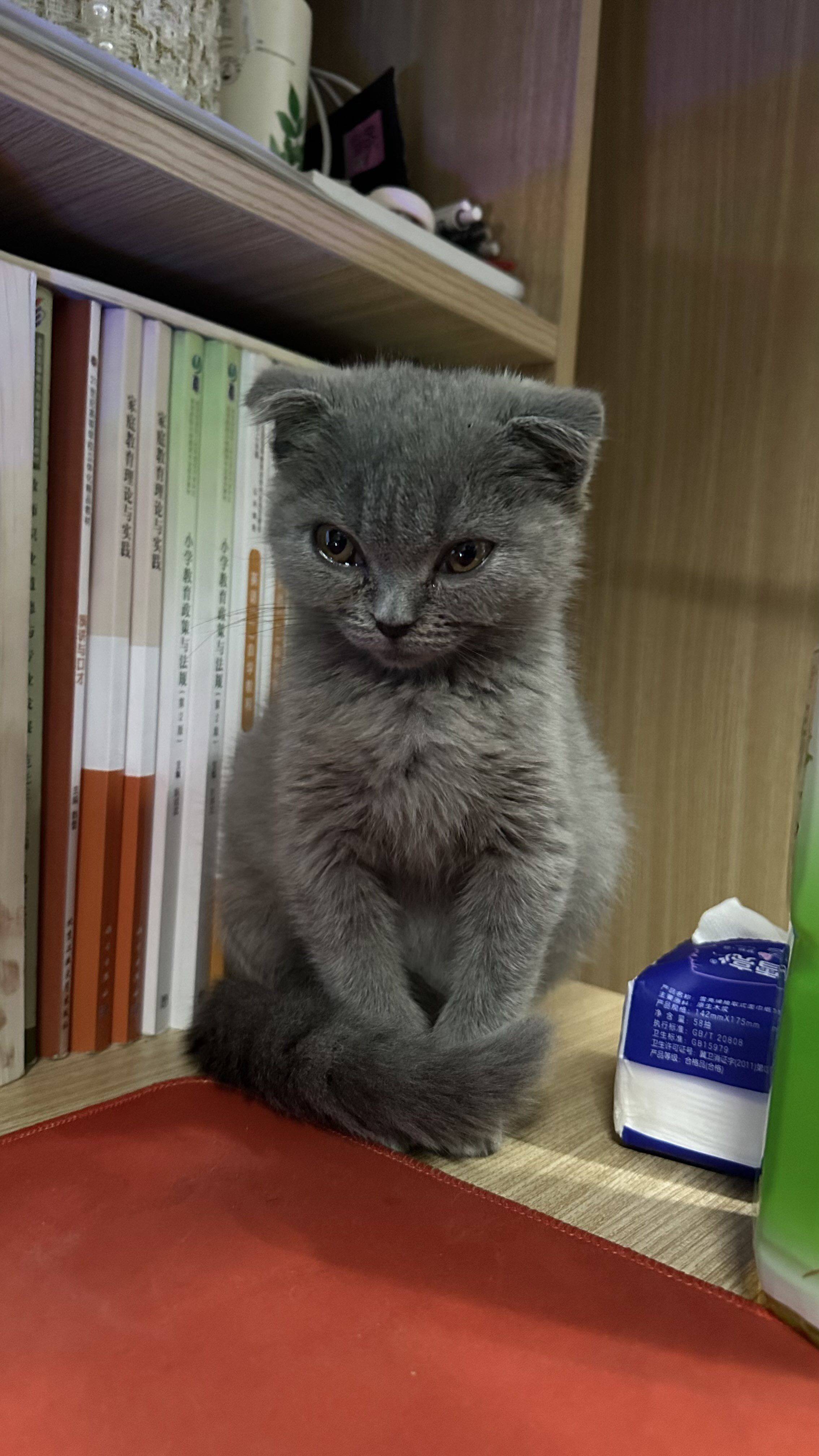 平常心