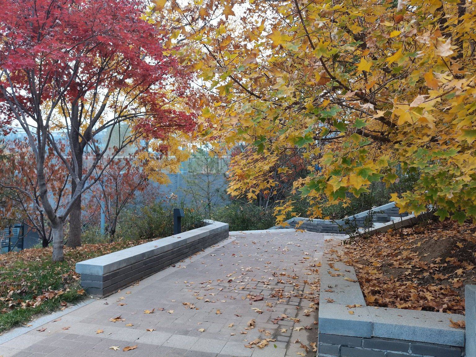 zhang