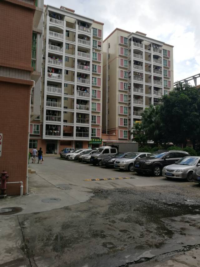 Dongguan-Fenggang-Cozy Home,Clean&Comfy,No Gender Limit,Hustle & Bustle