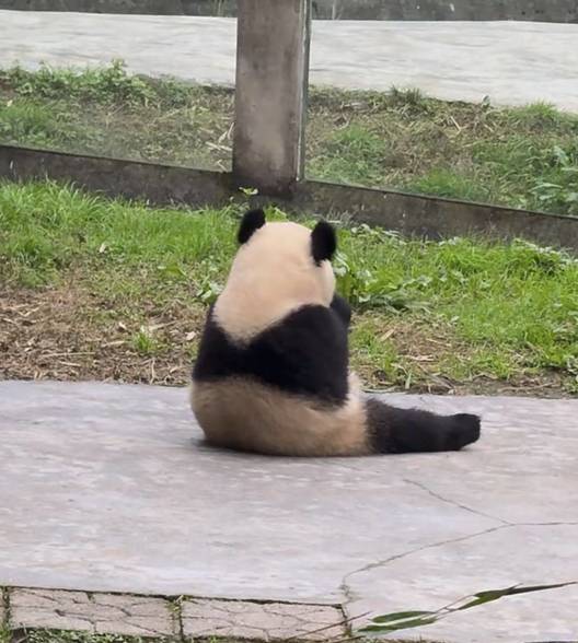待定