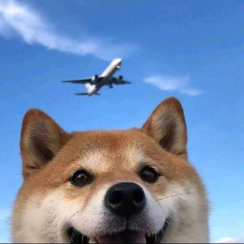 阿卡