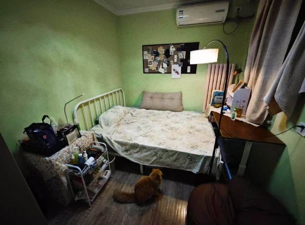 北京-朝陽-溫馨小窩,不限性別