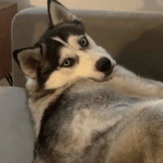 睡个好觉