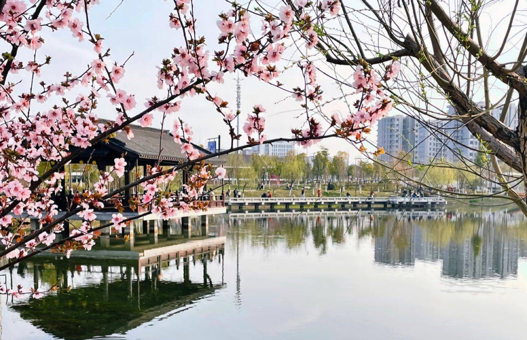 Hangzhou-Shangcheng-Cozy Home,Clean&Comfy,No Gender Limit,Hustle & Bustle,“Friends”,Chilled,LGBTQ Friendly,Pet Friendly