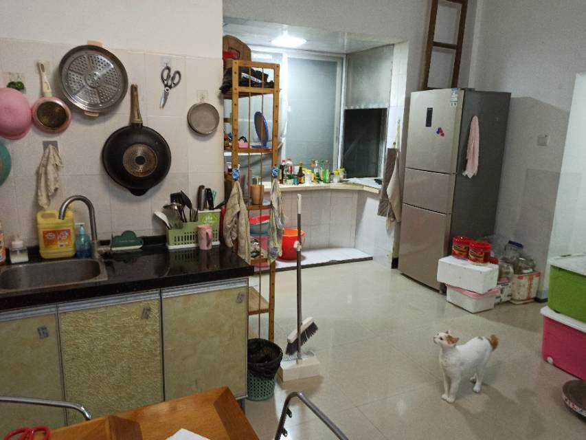 Guangzhou-Tianhe-Cozy Home,Clean&Comfy,No Gender Limit,Hustle & Bustle,“Friends”,Chilled,LGBTQ Friendly,Pet Friendly