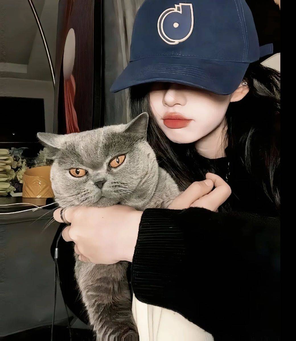 橘色的猫🐱