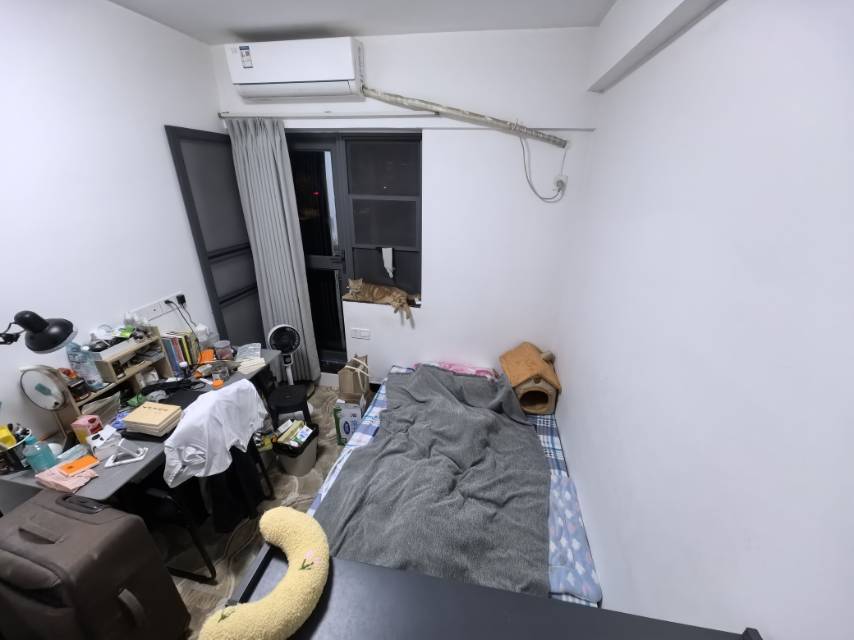 福州-仓山区-温馨小窝,干净治愈,不限性别,市井烟火气