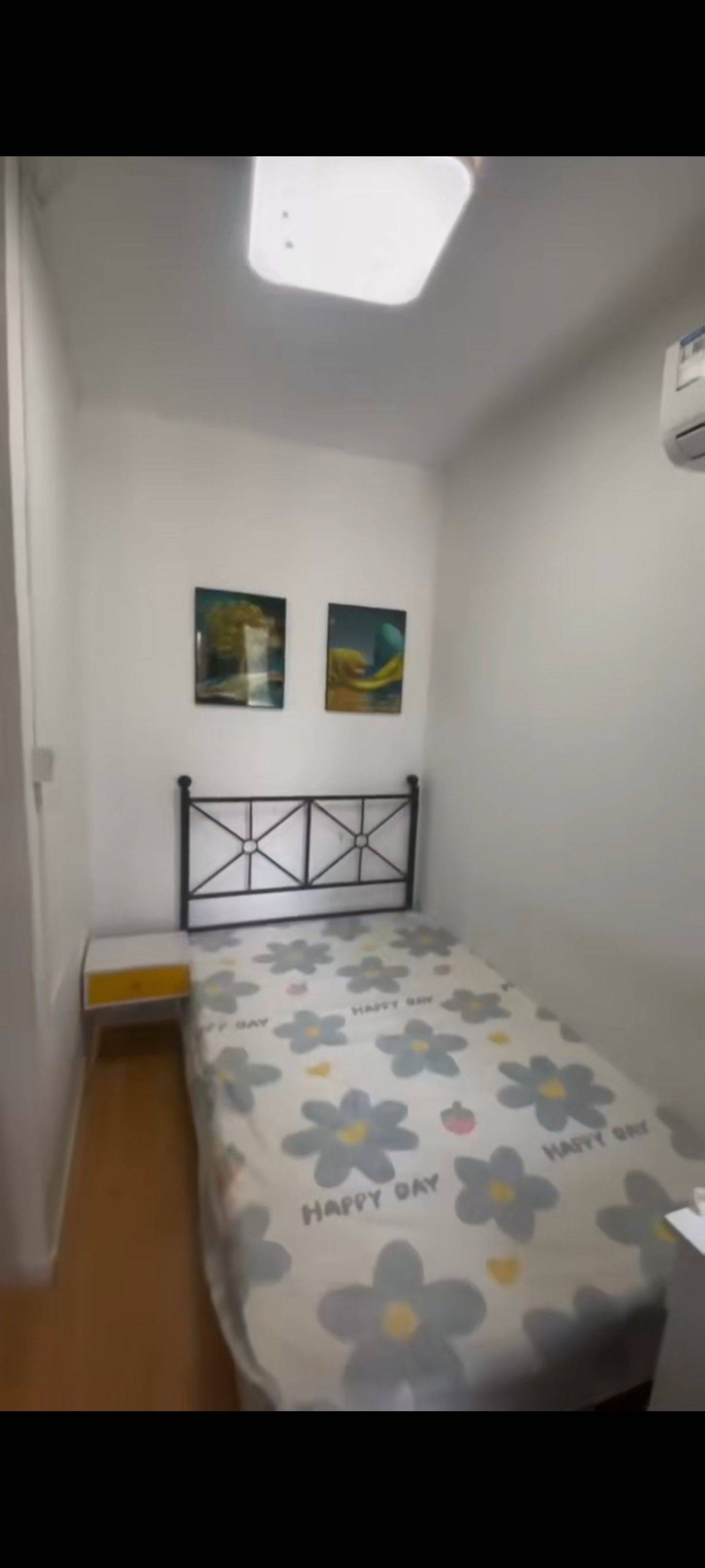 南京-雨花台-干净治愈,不限性别