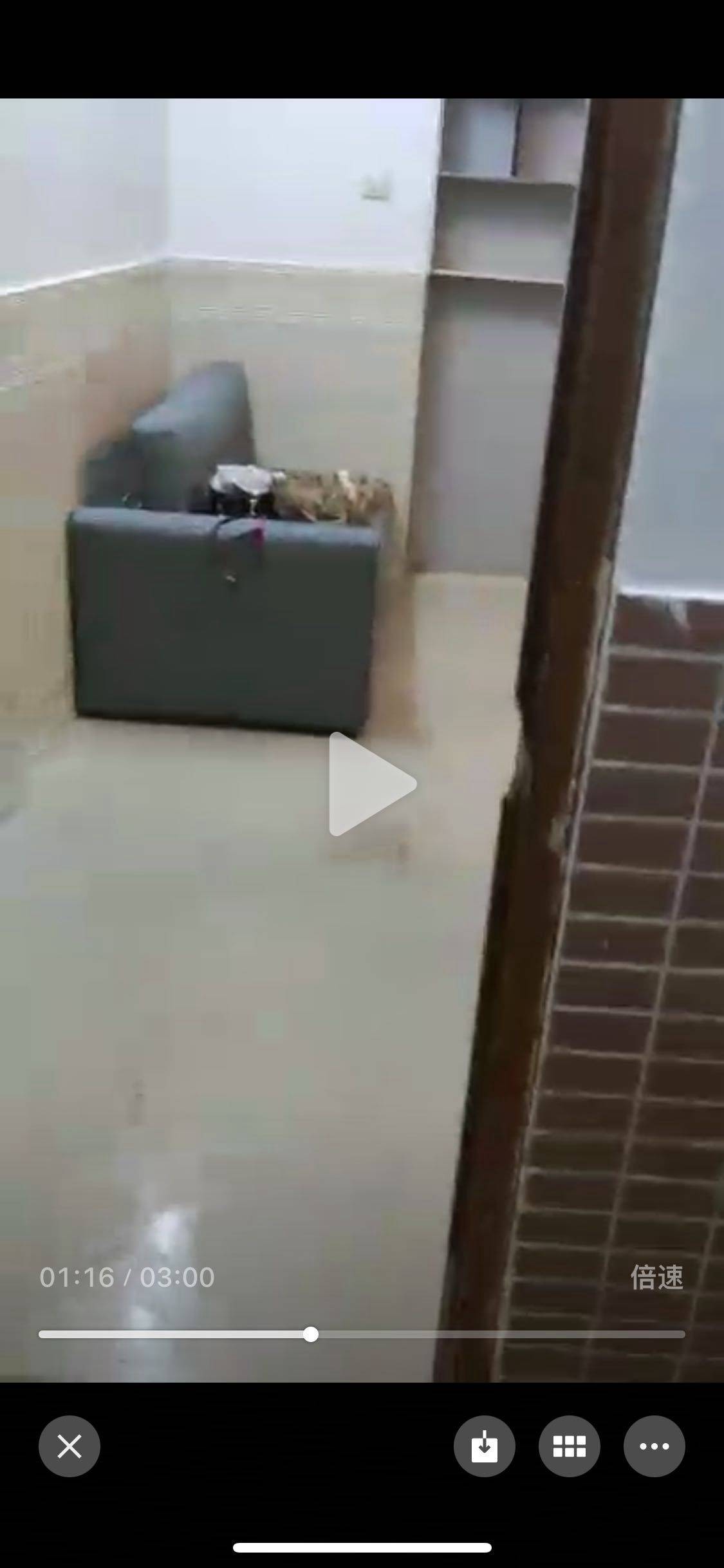 Hohhot de MIKE 萱整租房源2