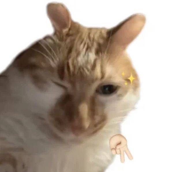 莱德队长