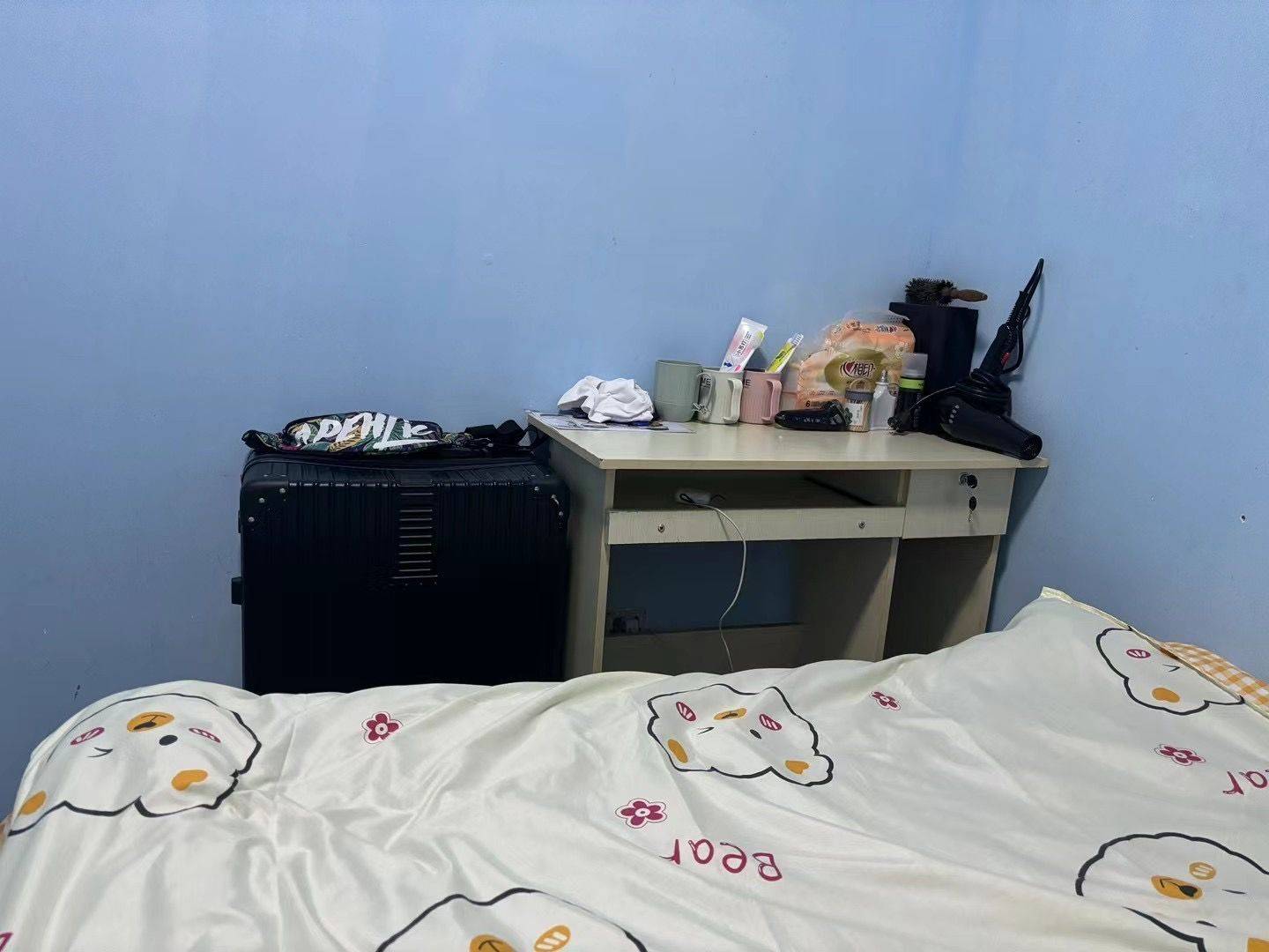 Chengdu-Shuangliu-Cozy Home,Clean&Comfy,No Gender Limit,Pet Friendly