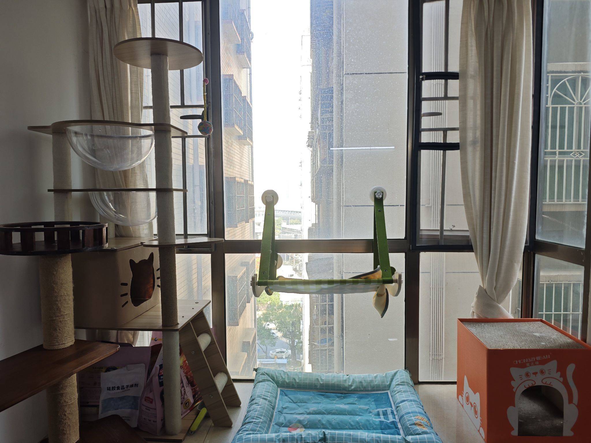 Shenzhen-BaoAn-Cozy Home,Clean&Comfy,No Gender Limit,Pet Friendly
