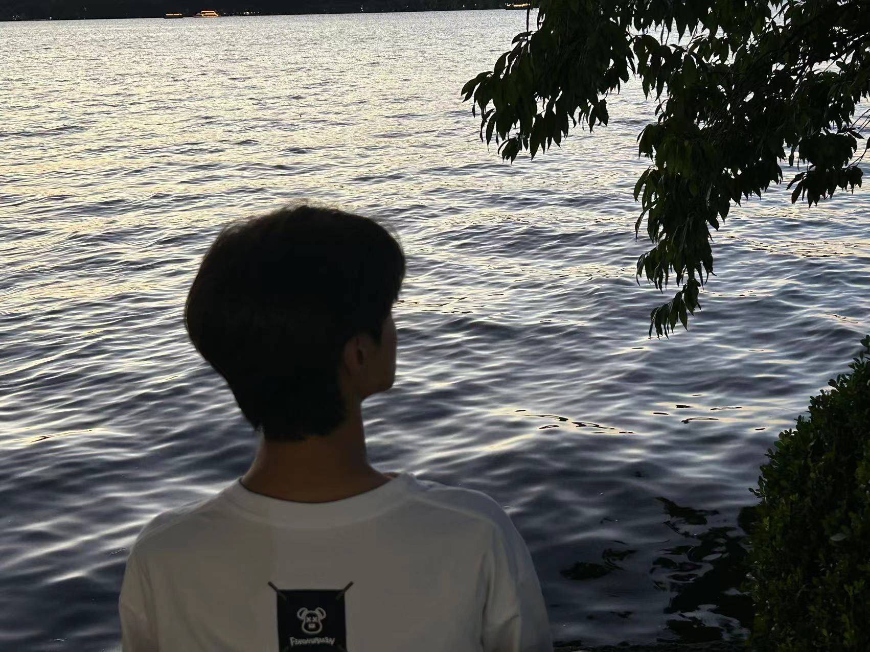 不吃香菜的金桔