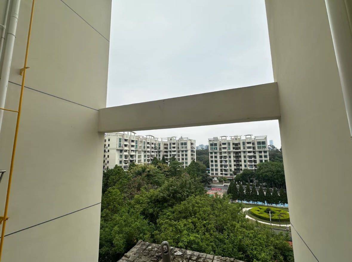 Dongguan Nancheng | 稻花村_3