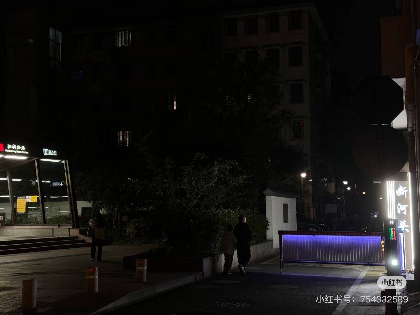 特立独行的猪整租房源2