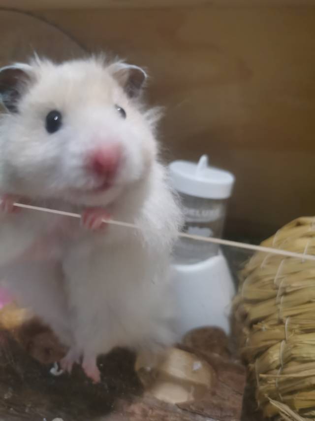 。。