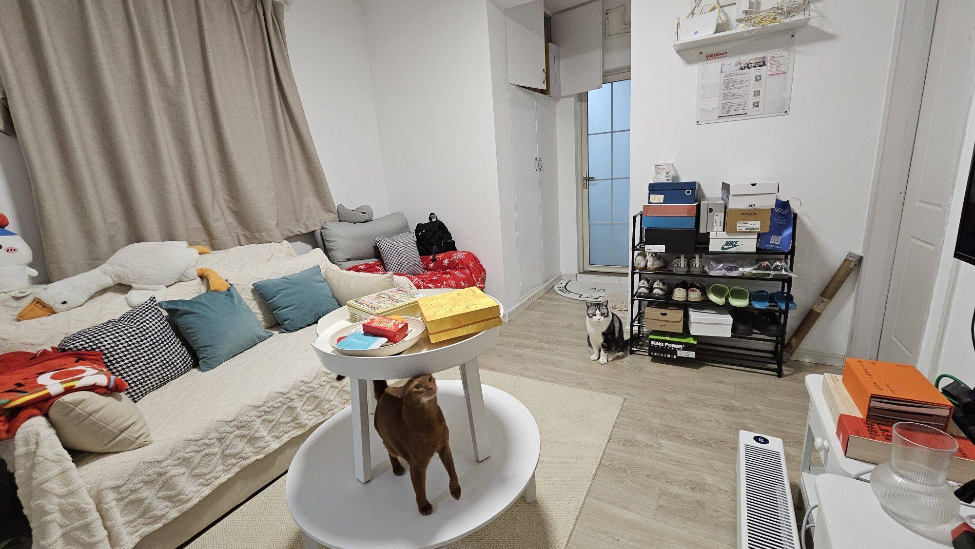 Shanghai-Xuhui-No Gender Limit,LGBTQ Friendly,Pet Friendly