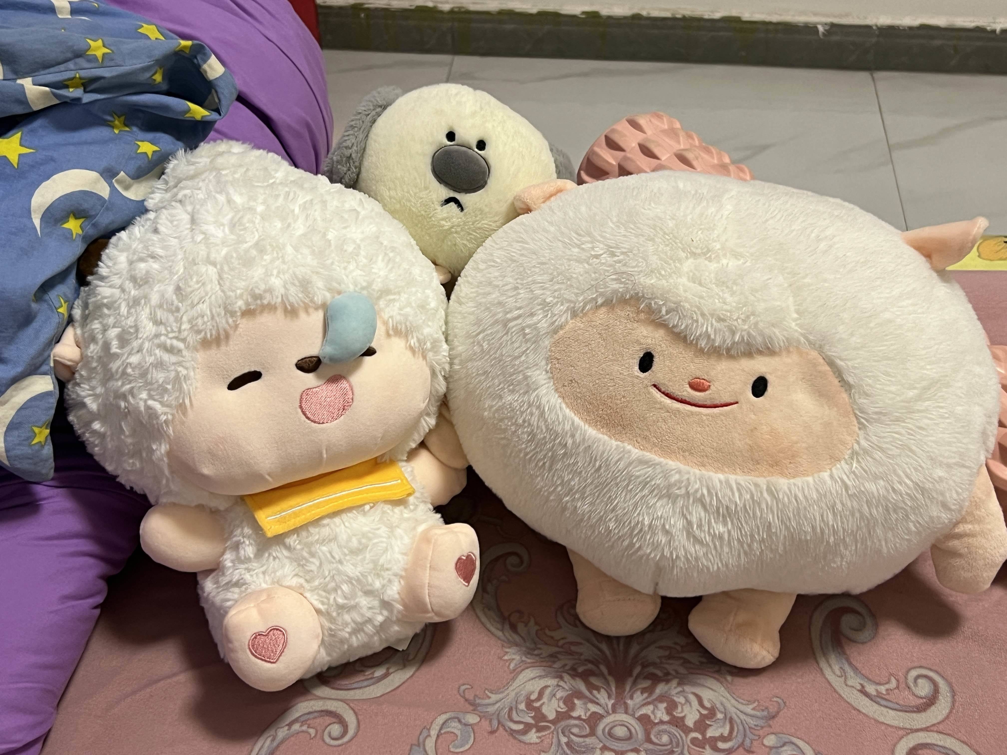 会租房