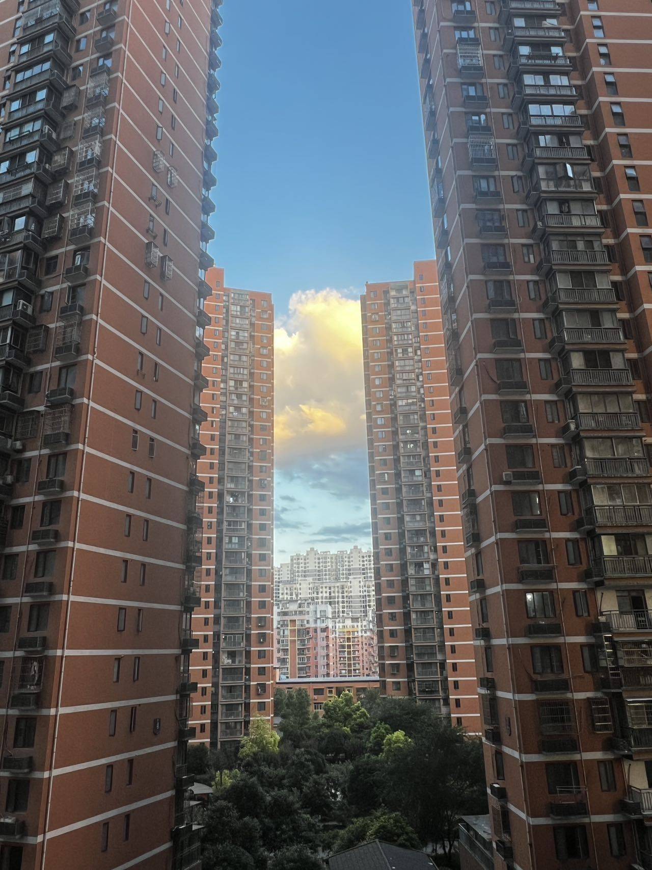 武汉-洪山-长租,长&短租,转租,合租